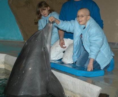 Kinder erleben einen Delfin hautnah